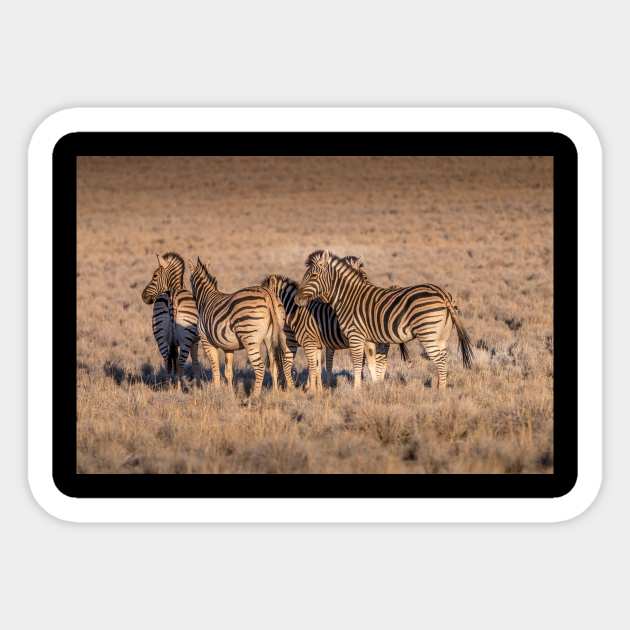 Zebras in Botswana Sticker by Memories4you